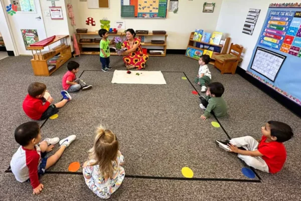 Social Emotional Development