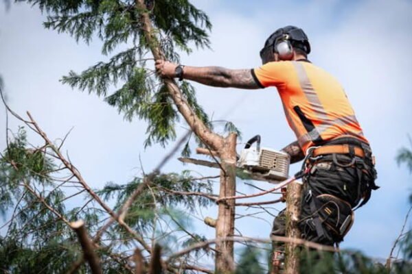 Tree Lopper